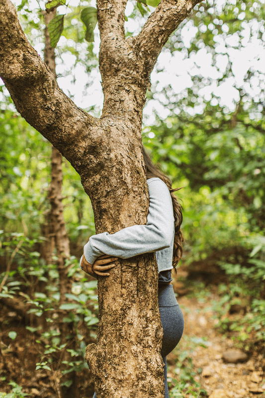 Dharana at Shillim 5*